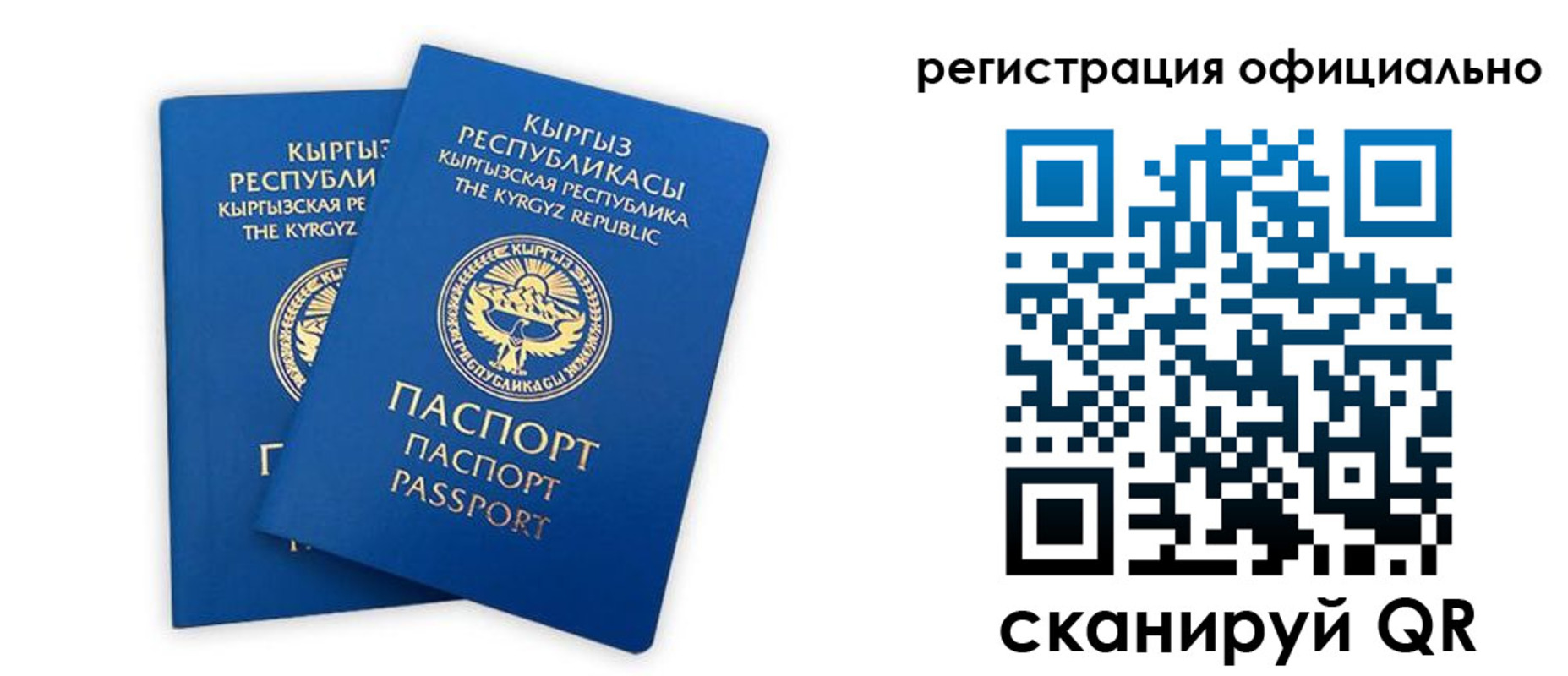 прописка поиск в Калачинске